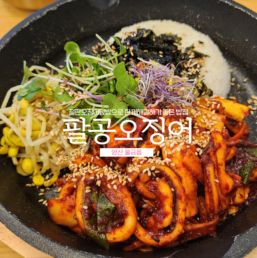 팔공오징어 이미지
