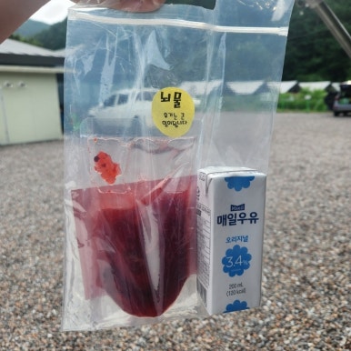강촌포도펜션&오토캠핑장 이미지