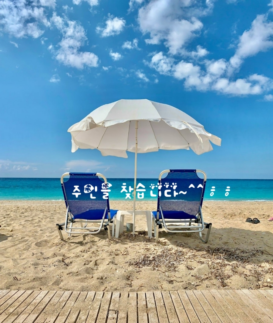 오늘 이미지