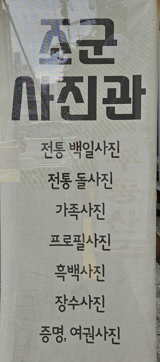 조군사진관 강아지 프로필 촬영 후기 (노원) — 사진 2