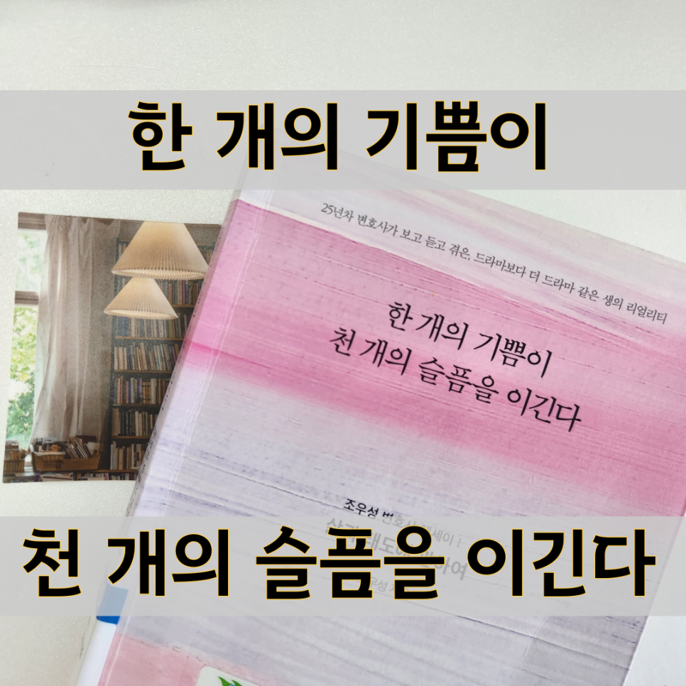 한 개의 기쁨이 천 개의 슬픔을 이긴다 줄거리 요약
