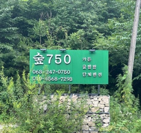 숲750 이미지