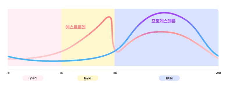 솔핏PT 이미지