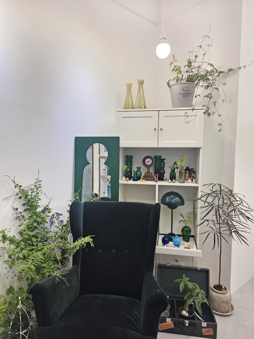 라메르블룸 이미지