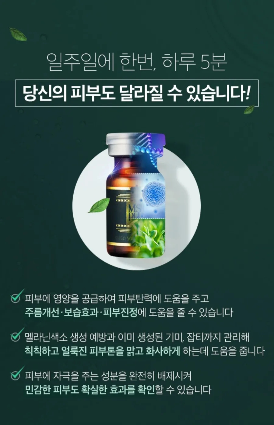 MS플러스 이미지