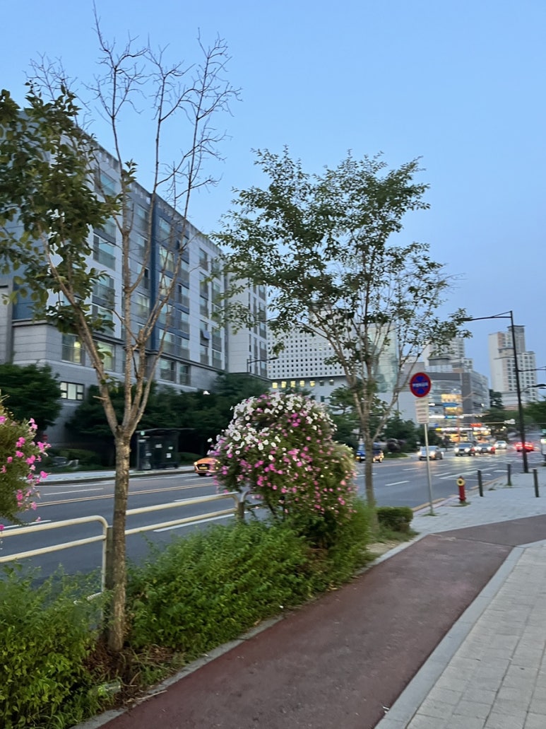 알로하프룻 이미지