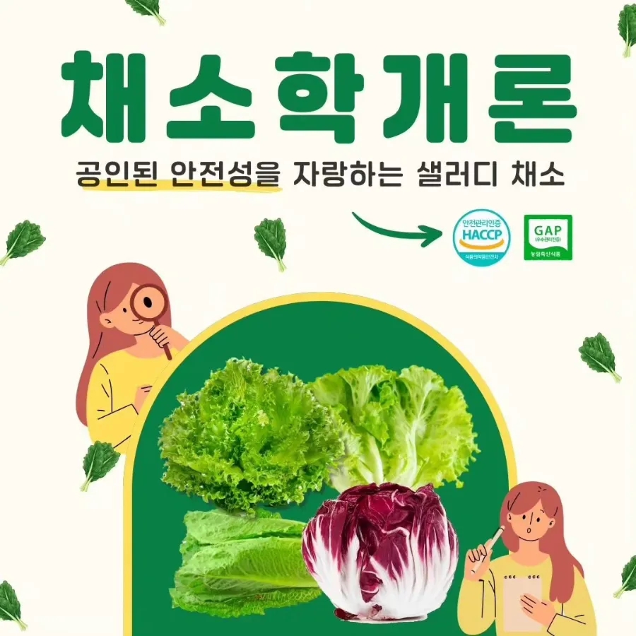 샐러디운서역점 이미지
