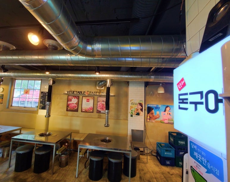 돈구어 이미지
