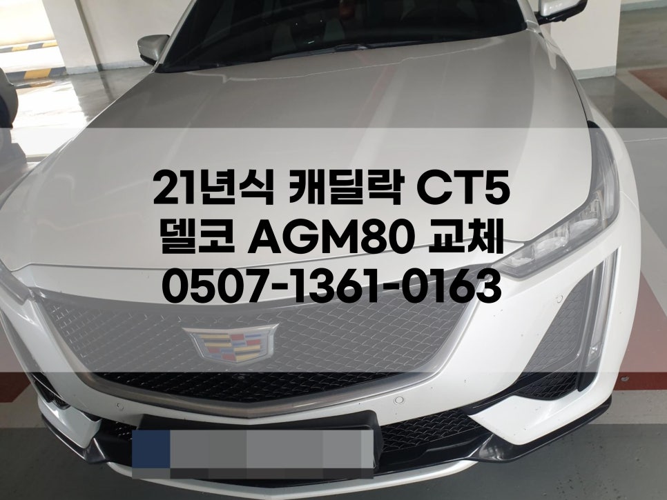 팔팔밧데리 이미지