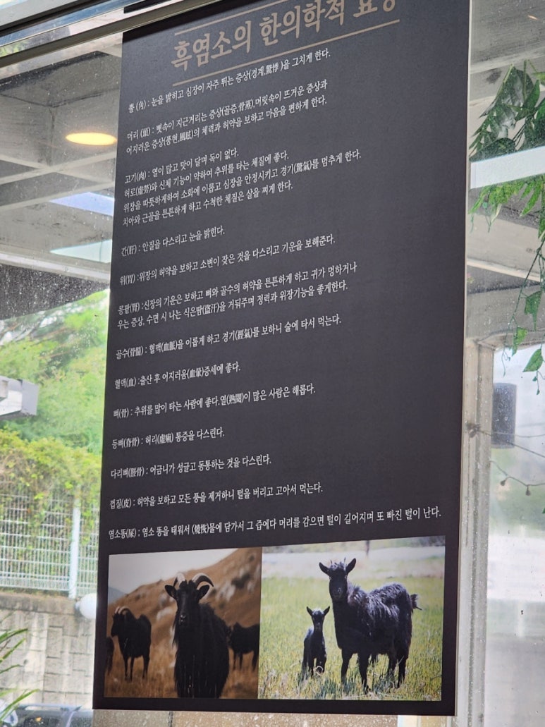 30년전통순이네염소 이미지