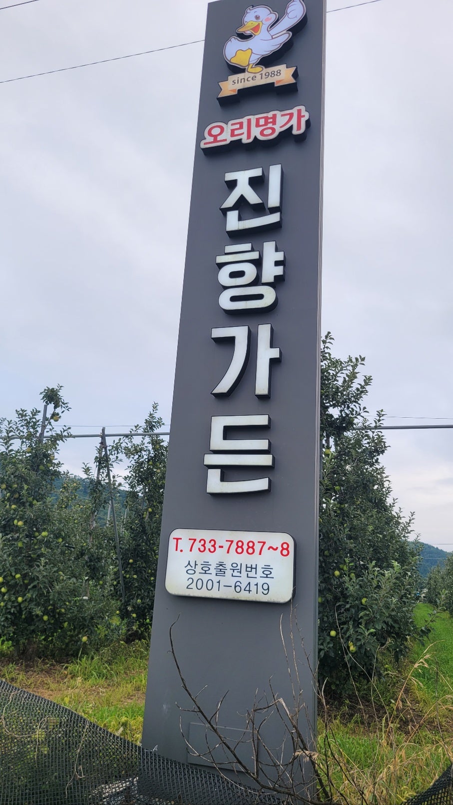 진향가든 이미지