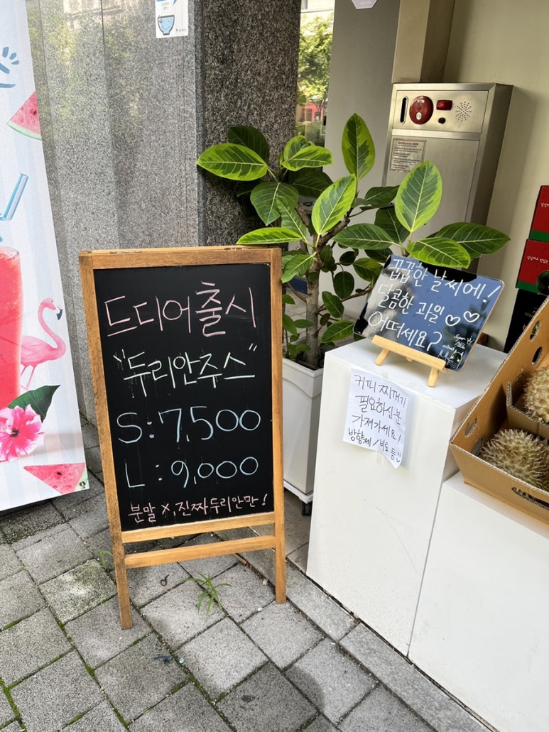 알로하프룻 이미지