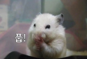 네오푸드 이미지