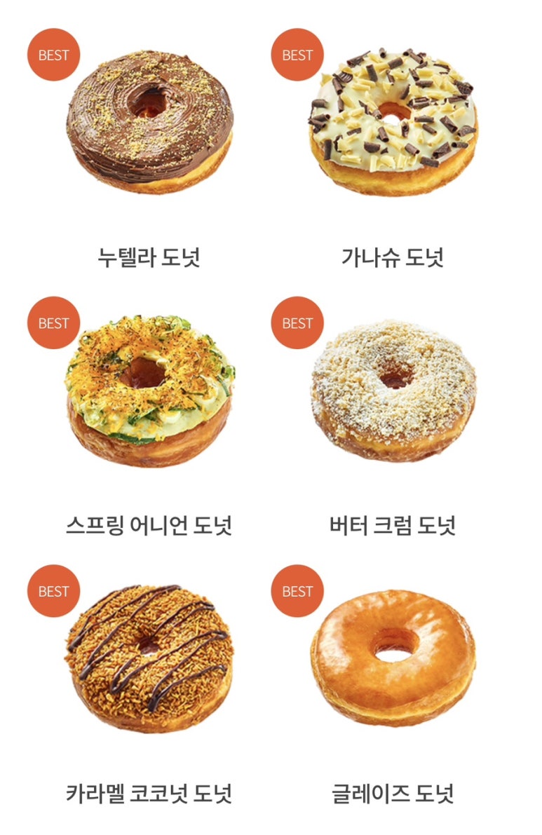 라쿠키테리아 이미지