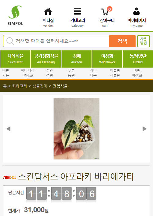 묘한정원 이미지