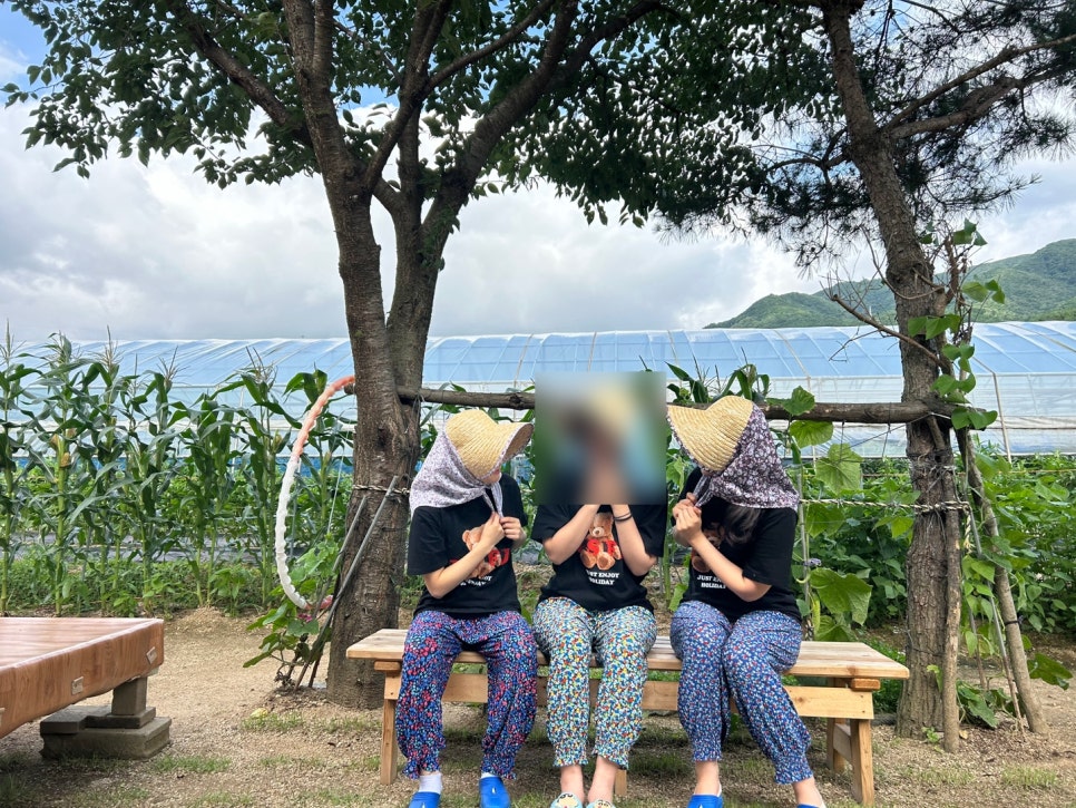 이레스테이 이미지