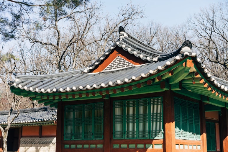신라다실 이미지