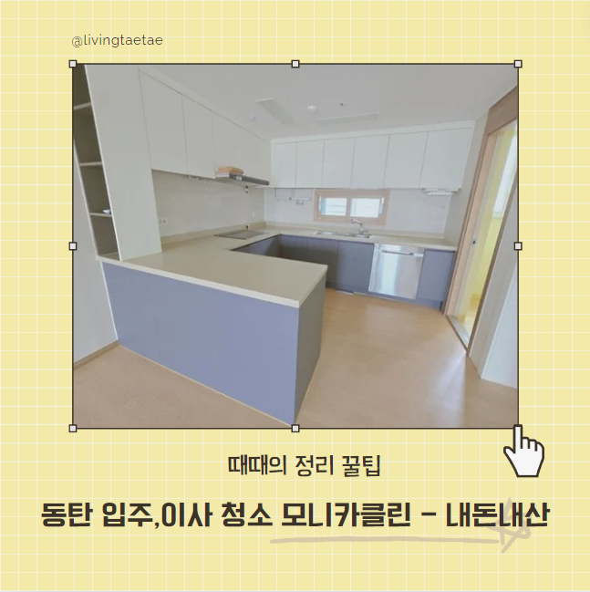 모니카클린 이미지