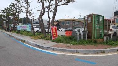 초도반점 이미지