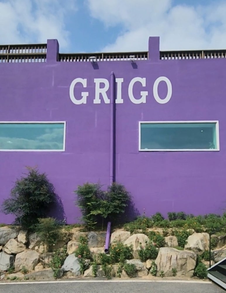 그리고(GRIGO) 이미지