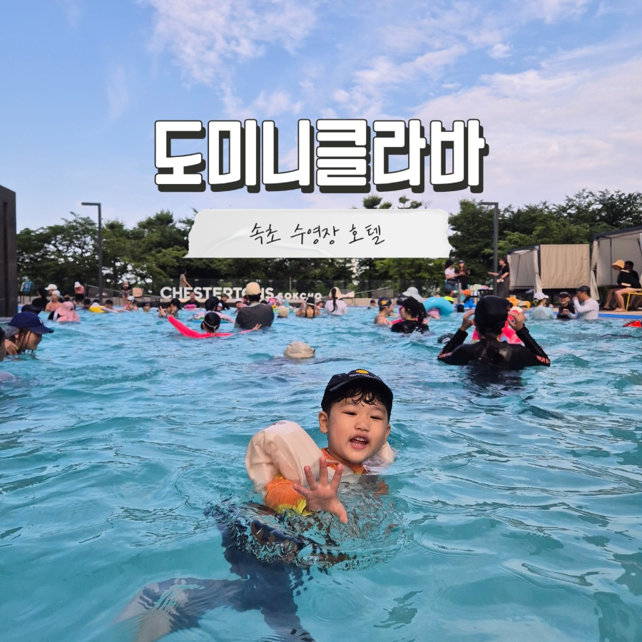 도미니클라바속초협동조합 이미지