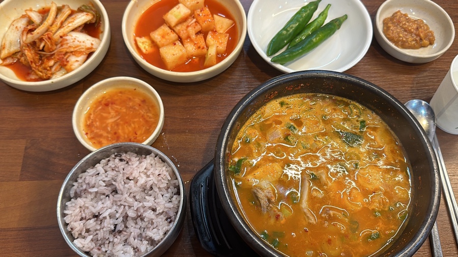 지코바대치 이미지