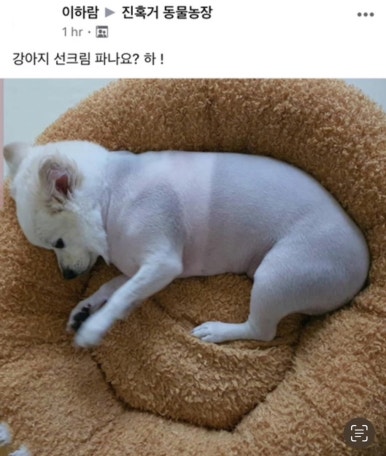 백나예김밥 이미지