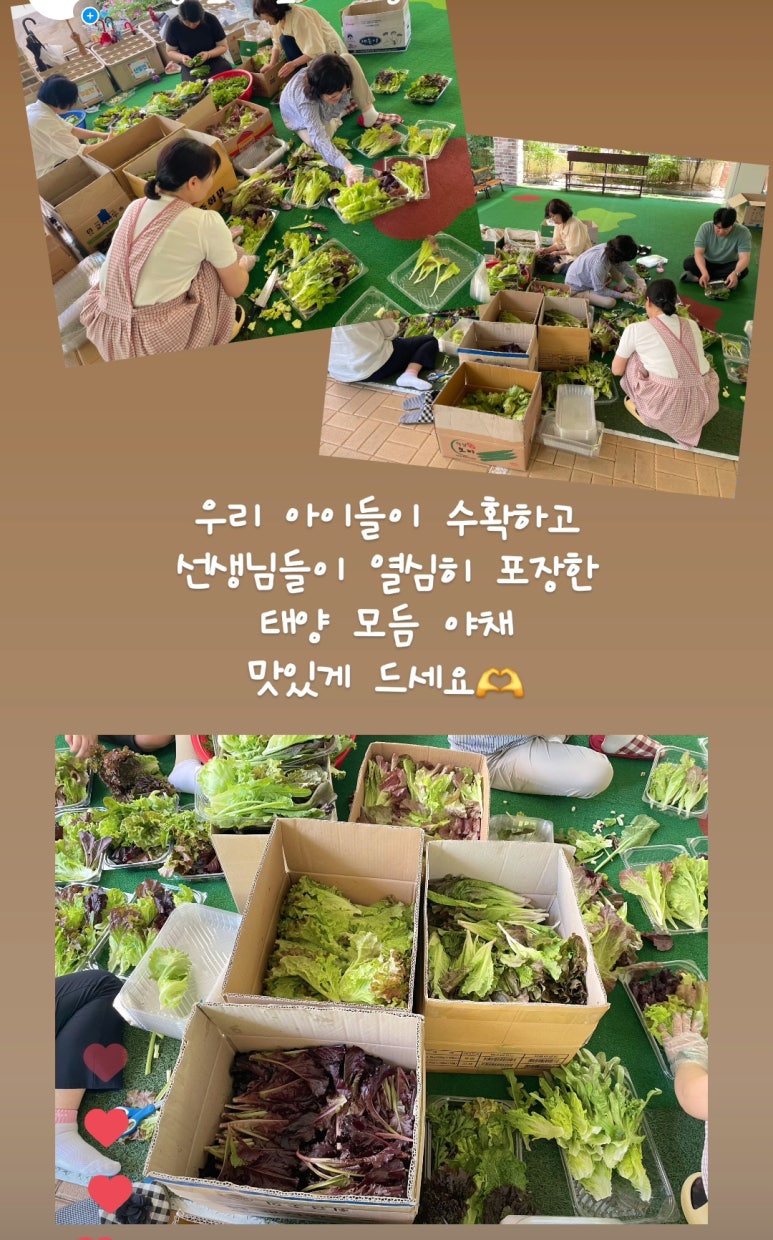 태양유치원 이미지