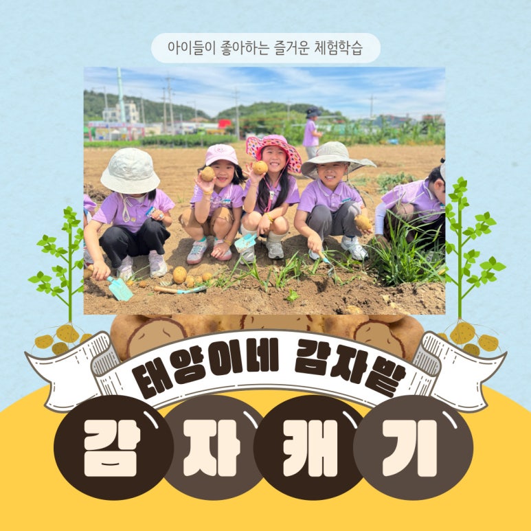 태양유치원 이미지