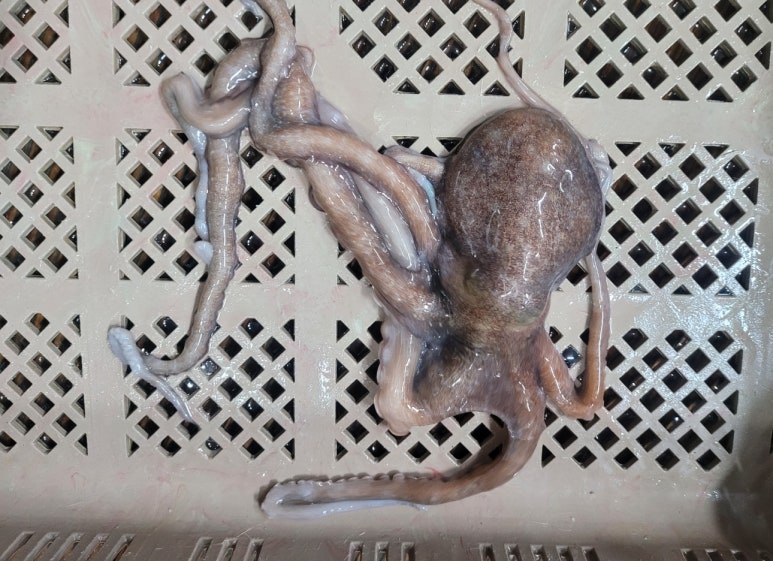 삼포수산식당 이미지