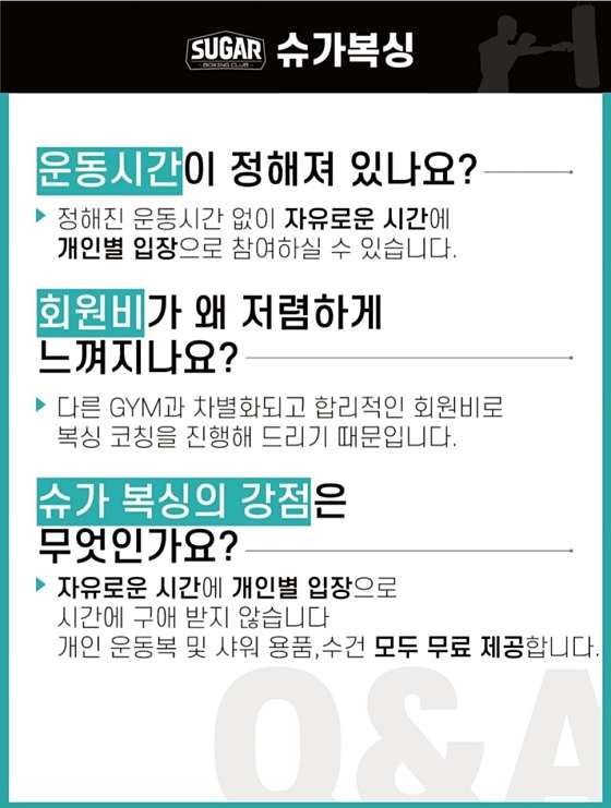 슈가복싱 이미지
