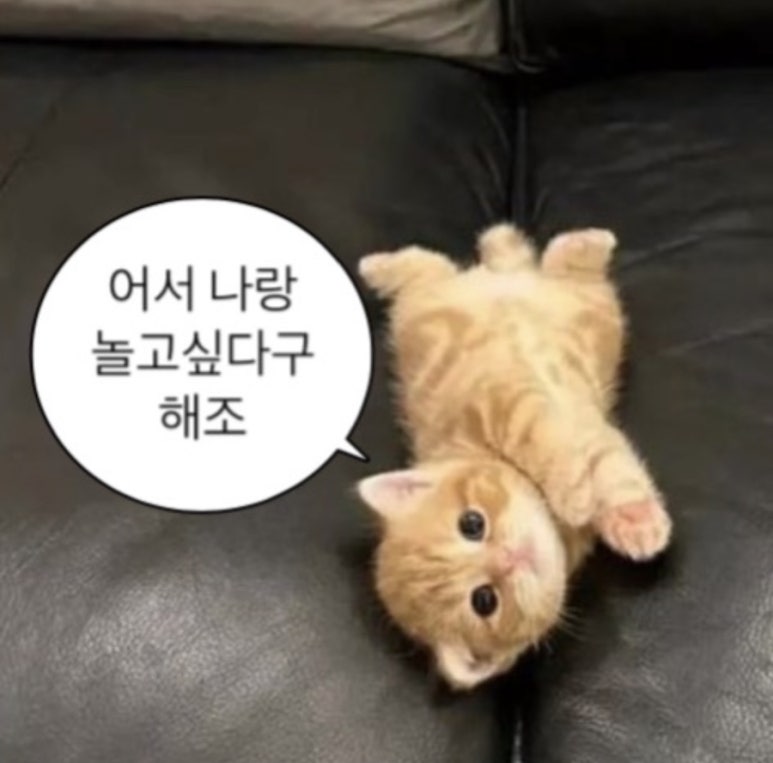 견우직녀달 이미지