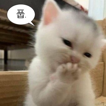인계동 삼거리포차 이미지