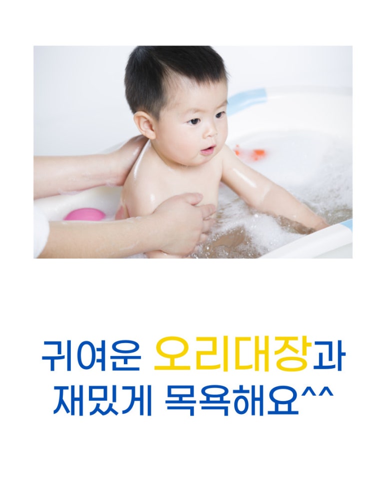 오리대장 이미지