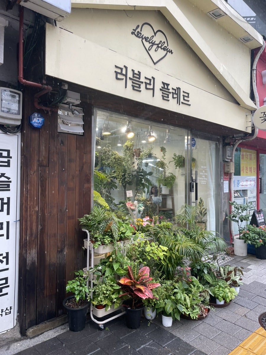 러블리플레르 이미지
