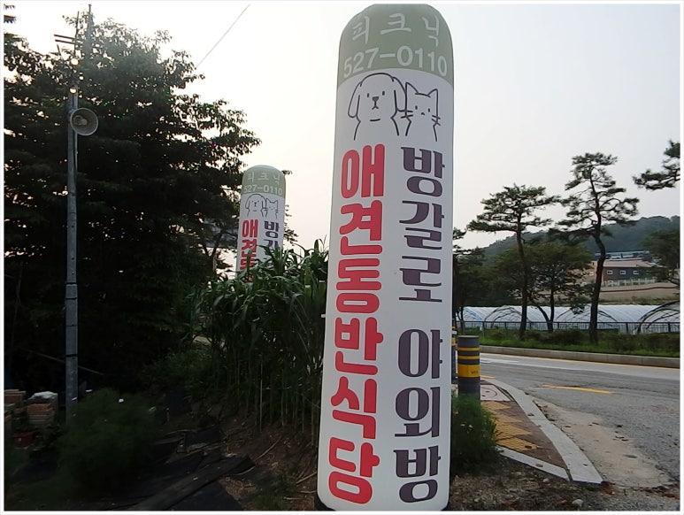 날마다 오리 이미지