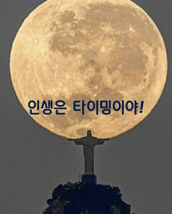 담장아래 볕 이미지