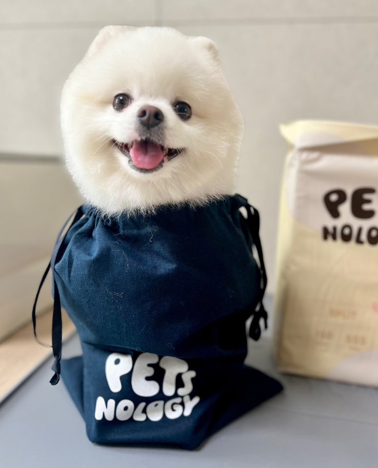아이디어놀로지 이미지