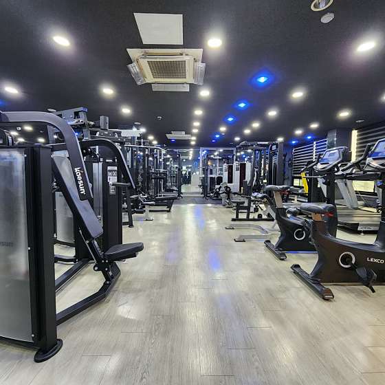 휘트니스링크 이미지