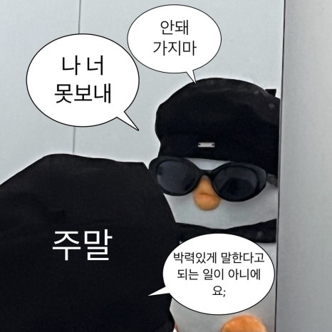 더오리 이미지