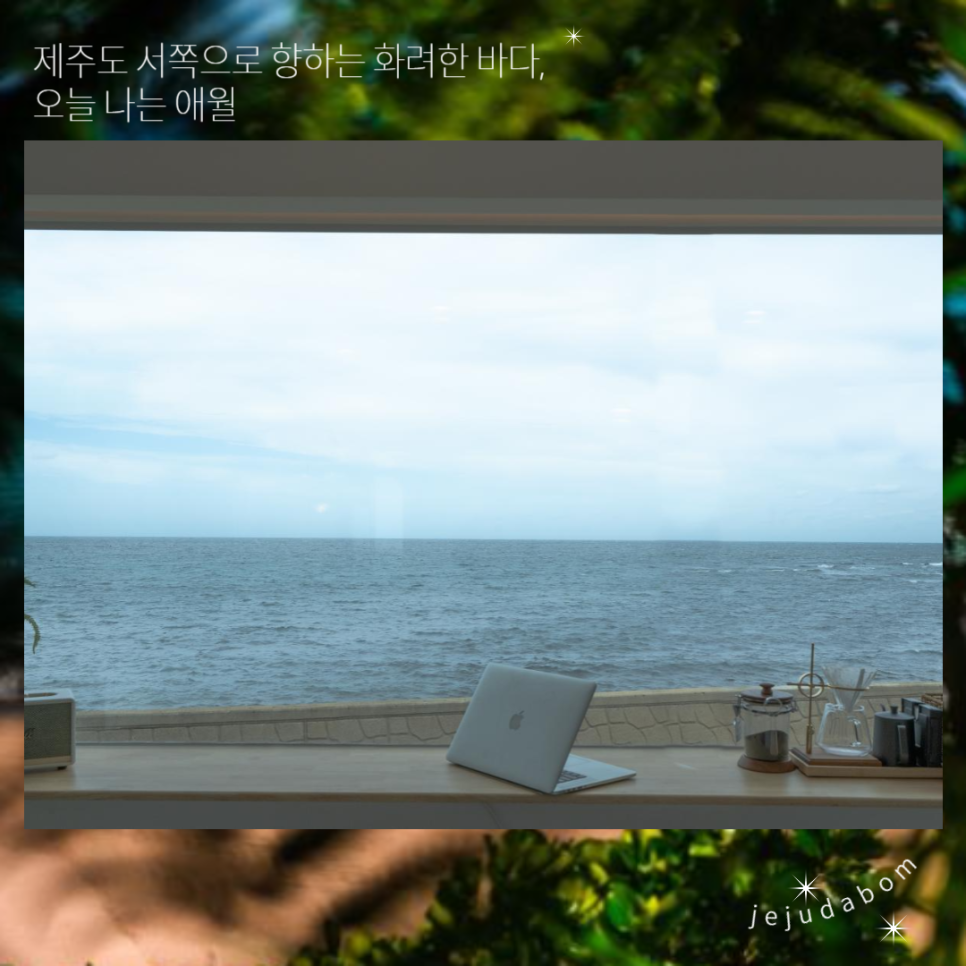 오늘나는애월 이미지