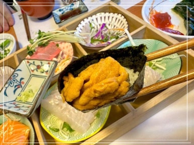오스시 이미지