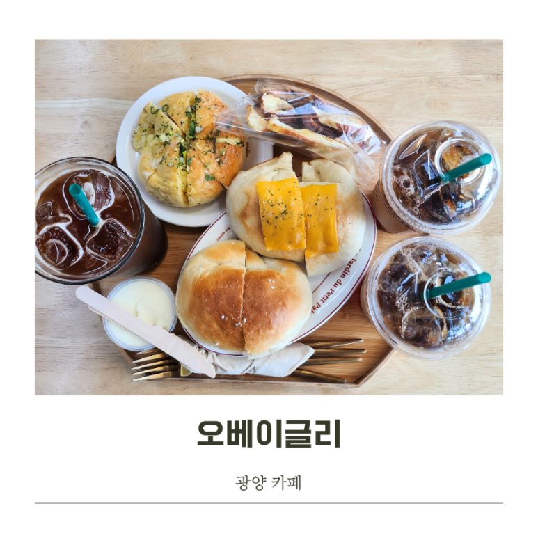 오베이글리 이미지