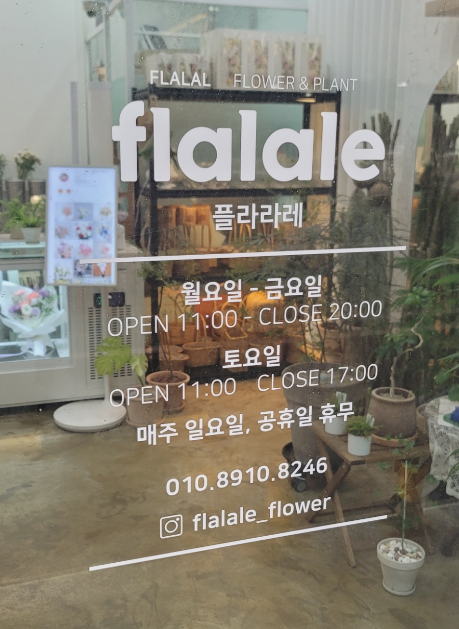 플라라레 이미지