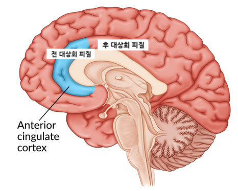 성화상회 이미지