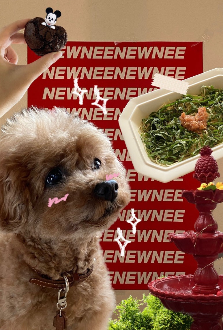 뉴니(NEWNEE) 이미지