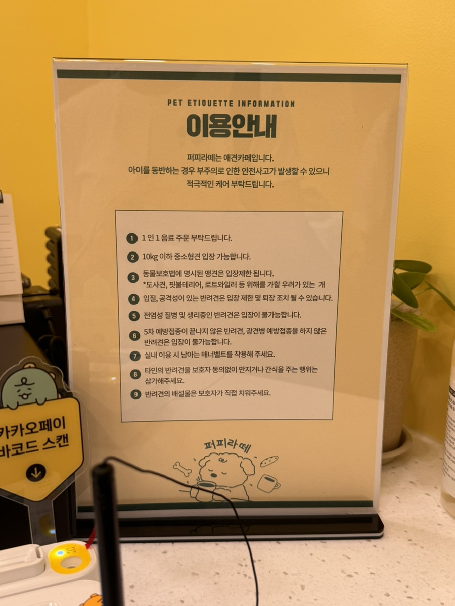 수원 호매실 퍼피라떼, 신상 애견카페 테라스존 후기 — 사진 5