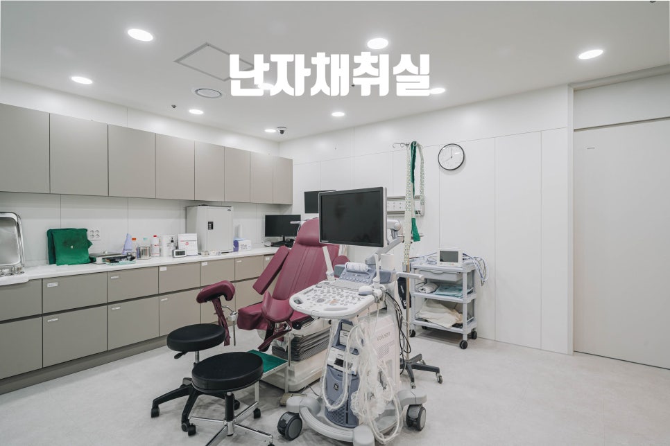 본베베여성의원 이미지