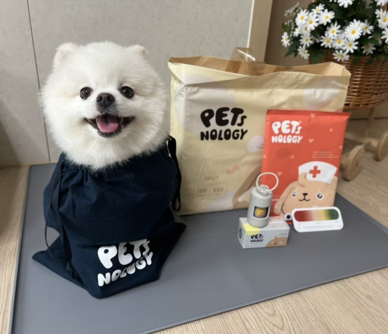 아이디어놀로지 이미지