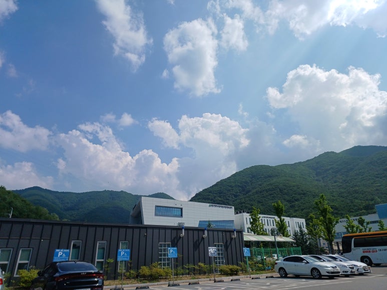 달구네 찜닭 이미지